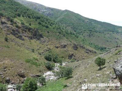 Parque Nacional Monfragüe - Reserva Natural Garganta de los Infiernos-Jerte;viajes en verano